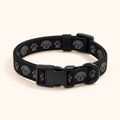 Zyplan Quick-Release Dog Collar hero image